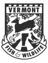 Vermont Logo